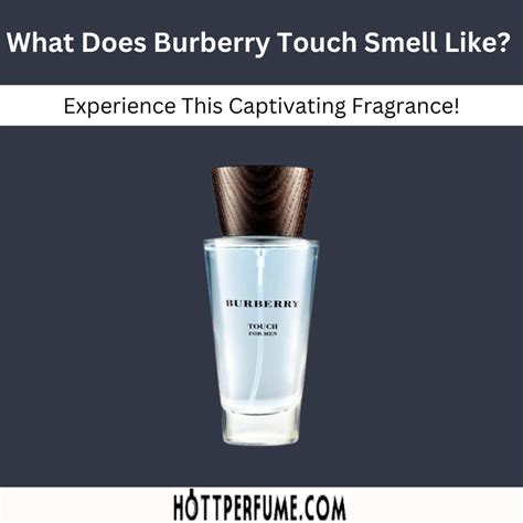 what does burberry touch smell like